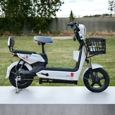 XE ĐIỆN SK8