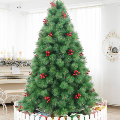 Cây Thông Noel Đầu Vàng Gắn Trái Đỏ 210 cm - Cây Treo - Chaang Chiia LP-YHN-R