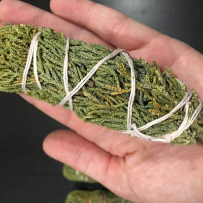 Bó lá bách xù Juniper xông nhà