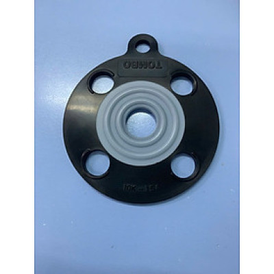 Vòng đệm EPDM/PTFE TOMBO No.9013 Jis10k , FF