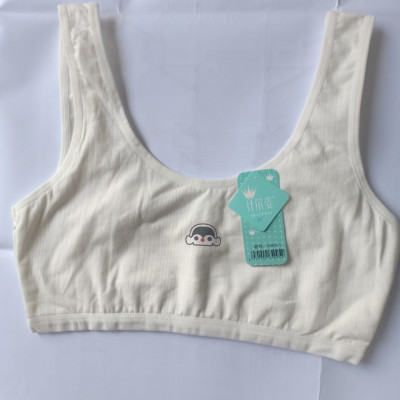 Combo 3 Áo lót teen, áo bra học sinh sinh viên