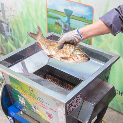 Máy cắt cá dao tròn 3A2,2KW - An toàn, tiện lợi, năng suất cao - Hàng Chính Hãng