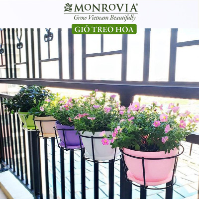 Combo 3 Giỏ treo chậu hoa ban công MONROVIA, giỏ sắt treo chậu hoa ban công, chậu treo ban công, kệ treo ban công, móc treo, khung thép, sơn tĩnh điện chính hãng thương hiệu MONROVIA - Màu Đen
