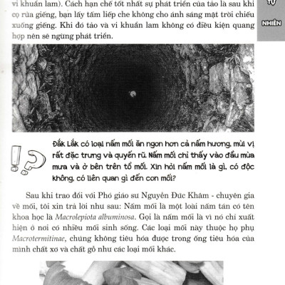 Hỏi Đáp Về Mọi Chuyện - Khoa Học Tự Nhiên, Khoa Học Xã Hội, Sức Khỏe - Đời Sống - HNB