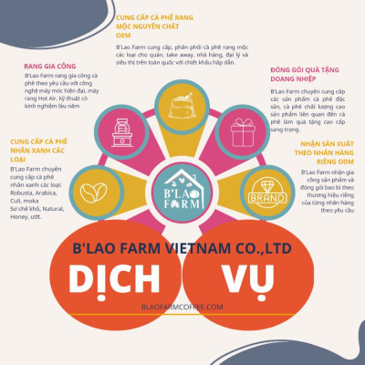 Cà phê nhân xanh ROBUSTA NATURAL B