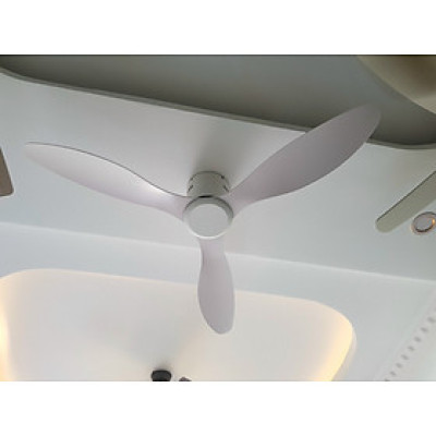 quạt trần trang 3 cánh - sang trọng cho chung cư, phòng khách, khách sạn, quán cafe, sapa - quạt có điều khiển từ xa 6