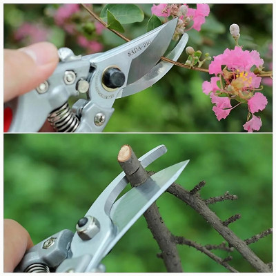 Kéo cắt cành SADA210 lưỡi thép 210mm cao cấp sắt bén siêu ngọt và bền tặng thêm lò xo - Hàng chính hãng