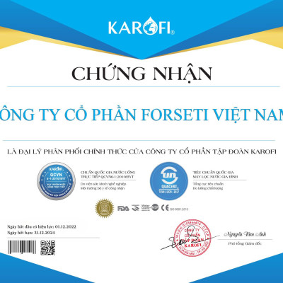 Combo Bộ 10 Cấp Lõi Lọc Karofi bộ lọc thô 1,2,3 và màng RO 50GDP, Cụm chức năng Đúc Nguyên Khối Karofi SMAX Hiệu Suất Cao  Hp6.2 Hydrogen - Hàng Chính Hãng