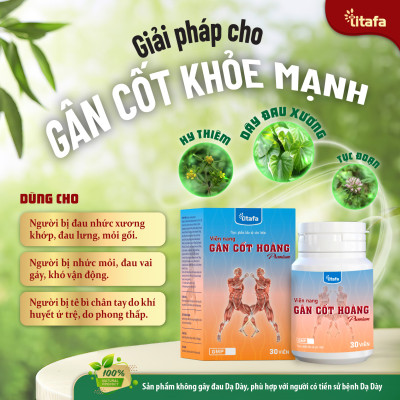 Viên nang GÂN CỐT HOÀNG (Hộp 30 viên) – Hỗ trợ mạnh gân cốt, giảm đau nhức xương khớp, tê bì chân tay [Chính hãng TITAFA]
