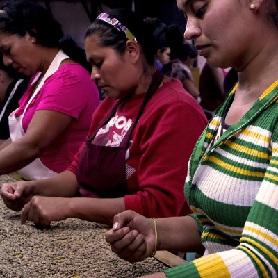 Cà Phê Hảo Hạng (Specialty Coffee) Tinh Khiết Không Tẩm Không Độn Thương Hiệu Quốc Tế 1864 CAFÉ EL BORBOLLÓN Nguyên Hạt Khối Lượng Tịnh 220g – 1864 CAFÉ