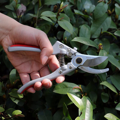 Kéo cắt cành SADA210 lưỡi thép 210mm cao cấp sắt bén siêu ngọt và bền tặng thêm lò xo - Hàng chính hãng