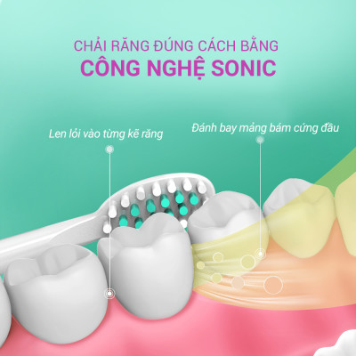 Bàn Chải Điện Sonic Life360 LE-BCD22A (Bản Cao Cấp) - Công nghệ sóng âm sonic, Chải Sạch Mảng Bám Tới 10 Lần, 5 chế độ thông minh, Chống Nước IPX7 