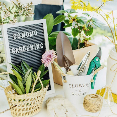 Kéo Cắt Tỉa Cành Cây Echo Metal 18.5cm Lưỡi Thép Cao Cấp