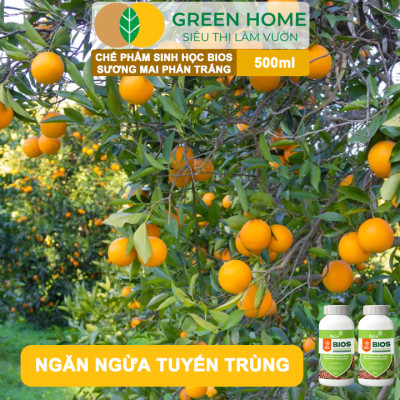 Chế Phẩm Sinh Học Bacte Bios Sương Mai Phấn Trắng, Green Home, Chai 500ml, Từ Thảo Mộc, Hiệu Lực Nhanh Mạnh