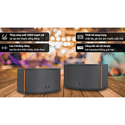Loa Karaoke gia đình Zenbos CR5 300W/Loa Bass 20 cm, 3 đường tiếng(Hàng Chính Hãng)