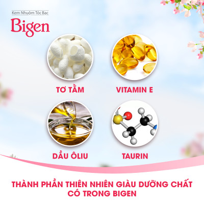 Thuốc nhuộm dưỡng tóc phủ bạc thảo dược Bigen Silk Touch Thương hiệu Nhật Bản Sắc Màu trẻ trung 80ml dạng kem