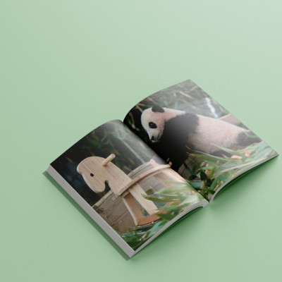 Sách Nhật Ký Hạnh Phúc Của Công Chúa Fubao - Bản Quyền