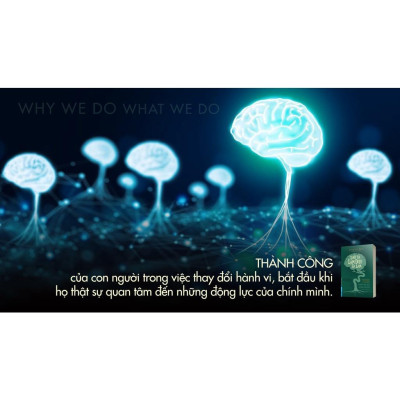 Sách Sao Ta Làm Điều Ta Làm - First News