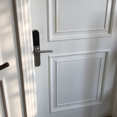 Khóa cửa vân tay thông minh cao cấp - Giải pháp dành cho cửa nhôm xingfa, mở qua APP, thẻ từ, cấp mã mở khóa từ xa Neolock - NEO7S