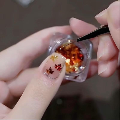 Set Kim Tuyến 12 Màu Lá Phong Bướm Sequin Làm Nail Siêu Lấp Lánh, Lá Thông Siêu Mỏng Dễ Đắp, Tạo Móng Sinh Động