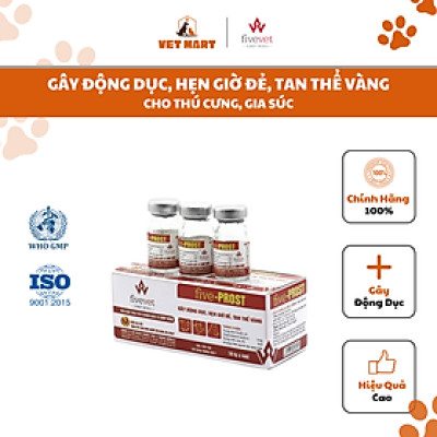 Five-Prost - Gây động dục, hẹn giờ đẻ, tan thể vàng cho chó mèo, gia súc