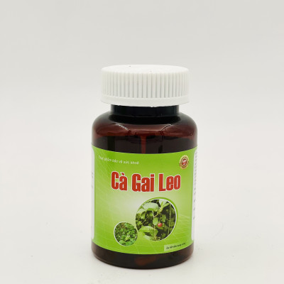 Cà gai leo - Năng Động - giải độc gan, giảm mề day, vàng da