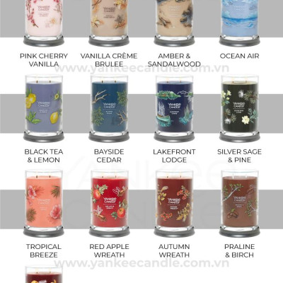 Nến ly tròn sáp đậu nành Yankee Candle size L (567g) - Bayside Cedar