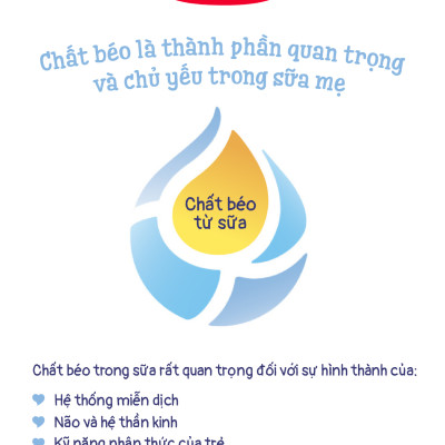 Thùng 12 hộp Sữa bột công thức Semper Bifidus số 2 400g/hộp