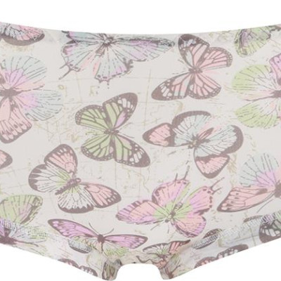 Combo 10 Quần Lót Su Đúc Lanh Hoa Cao Cấp QL03