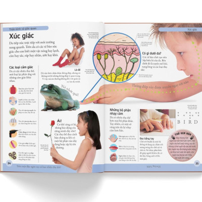 Bách Khoa Cho Trẻ Em - Bách Khoa Cơ Thể Người