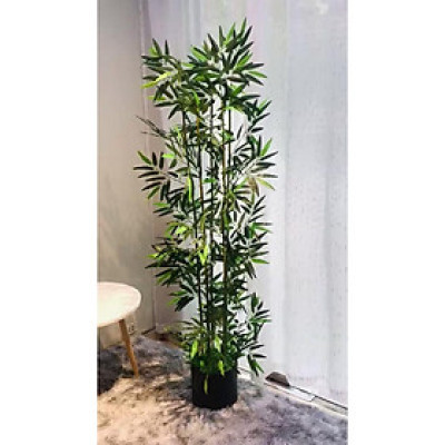 Chậu cây trúc quân tử giả - Size từ 120cm đến 200cm - Cây giả, hoa lụa Decor trang trí nhà cửa
