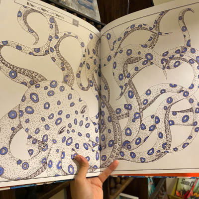 Sách - Wonders of Nature: Explorations in the World of Birds, Insects and Fish by Florence Guiraud