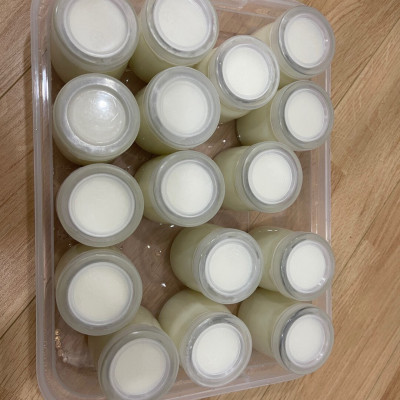 Máy Làm Sữa Chua Cốc Thủy Tinh Song Anh