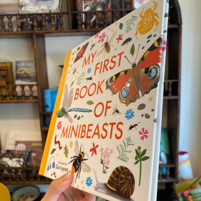 Sách - My First Book of Minibeasts by Zoe Ingram | Children