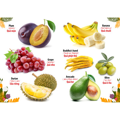 Sách - Trọn Bộ Combo Từ Điển Bằng Hình (Bộ 8 Cuốn) - Tái Bản