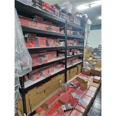 The Last Stand Aftermath | PS5 | Us