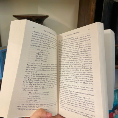 Sách - The Karamazov Brothers by Fyodor Dostoevsky - Wordsworth Classics - English Book