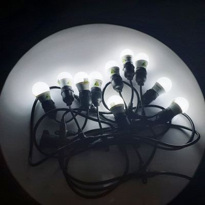 Dây đèn điện 5m 10 bóng 3W chính hãng Vi-Light,dây có đuôi nối dài