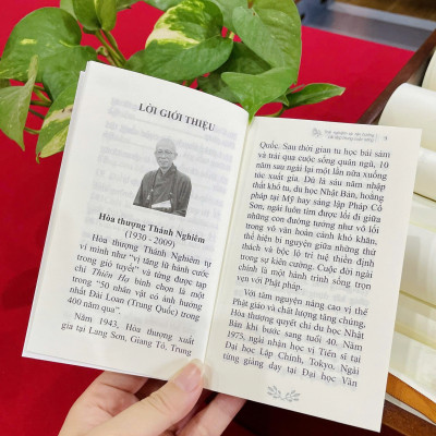 Sách - Trải nghiệm và tận hưởng cái đẹp trong cuộc sống - Hòa thượng Thánh Nghiêm - Vĩnh nghiêm Books