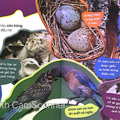 Độc Lạ Phi Thường - Thú Con Bé Bỏng