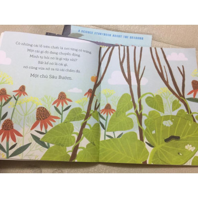 Câu chuyện Khoa học - Sâu Bướm và Hạt Đậu - A Science Storybook About Growing