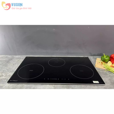 Bếp Từ Eurosun EU-T881G - Hàng chính hãng