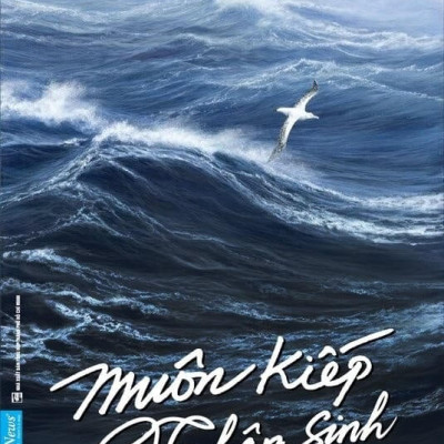 Bộ Sách Nguyên Phong - Combo Trọn Bộ 15 Cuốn Sách Tác Giả Nguyên Phong - Hành Trình Tâm Linh Thức Tỉnh - Bìa Mềm - First News