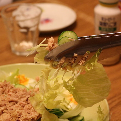 Kẹp gắp thực phẩm mini Echo Hand Fit 185mm - Hàng nội địa Nhật Bản, nhập khẩu chính hãng (#Made in Japan)