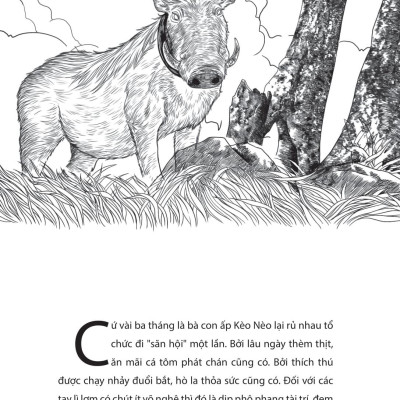 Sách - Rừng Đêm Xào Xạc (Tái Bản 2025)