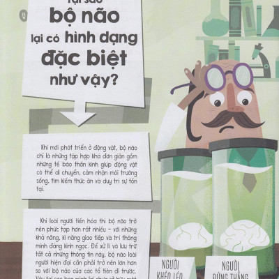 Có Gì Trước Big Bang