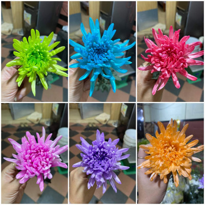 Nước Nhuộm Hoa Tươi Màu Hồng (Set 2 Chai) theo công nghệ Israel Color Sodium For Fresh Flowers giúp nhuộm đổi màu hoa cắt cành thành màu hồng đậm Pink