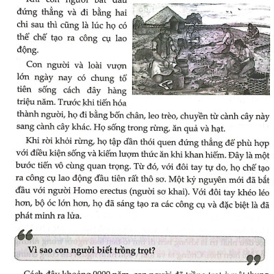 11 Vạn Câu Hỏi Vì Sao (Tái Bản 2021)