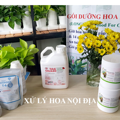 Dung Dịch Xử Lý Hoa TOG Galileo của ISRAEL (Chai 1 Lít) dùng bảo quản hoa cắt cành tươi lâu tại Nhà Vườn Trồng Hoa, Vựa Hoa và Chợ Sỉ Hoa. Tỷ lệ dung dịch 0.1% tức chai 1 Lít TOG pha được 1.000 Lít dung dịch xử lý hoa
