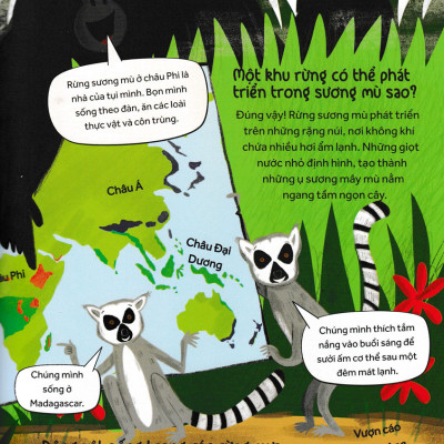 	Những Câu Hỏi Tò Mò Và Giải Đáp Thú Vị Về Rừng Mưa _HH